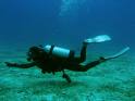 scuba diving.jpg